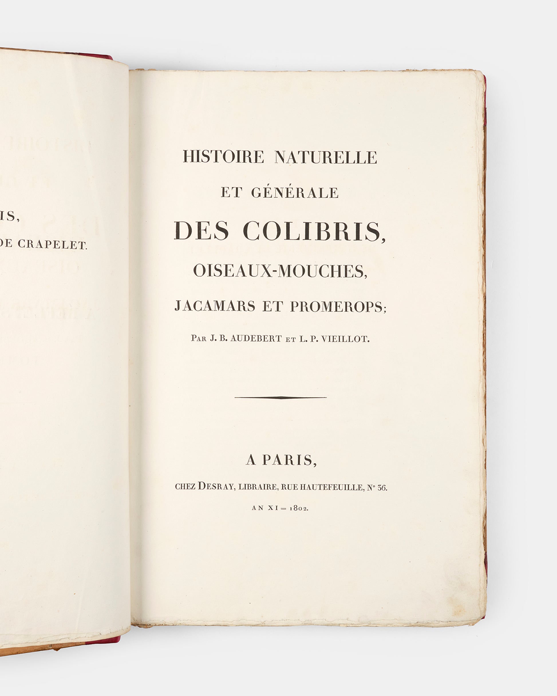 First edition of one of the most beautiful bird books ever published, Jean Baptiste Audebert's Oiseaux Dorés ou Reflets Metallaques, one of only 15 copies with captions printed in gold.