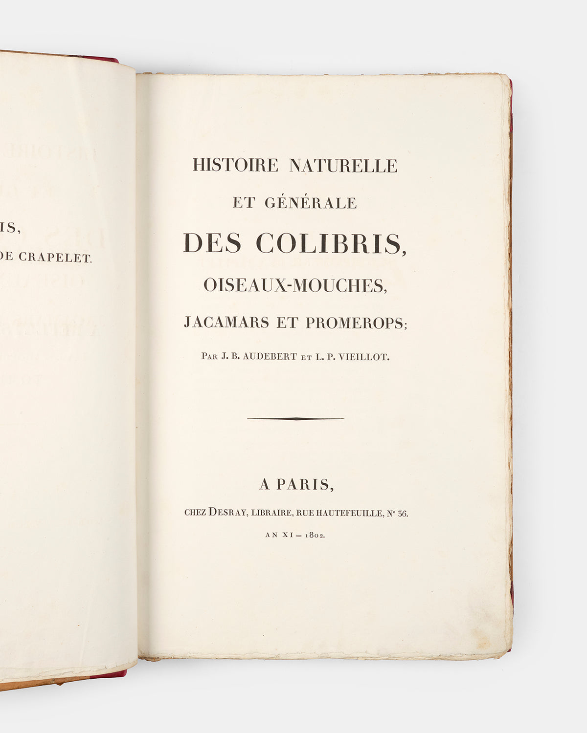 First edition of one of the most beautiful bird books ever published, Jean Baptiste Audebert's Oiseaux Dorés ou Reflets Metallaques, one of only 15 copies with captions printed in gold.