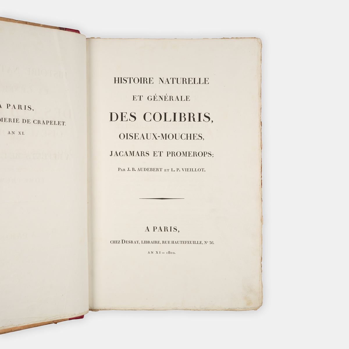 First edition of one of the most beautiful bird books ever published, Jean Baptiste Audebert's Oiseaux Dorés ou Reflets Metallaques, one of only 15 copies with captions printed in gold.