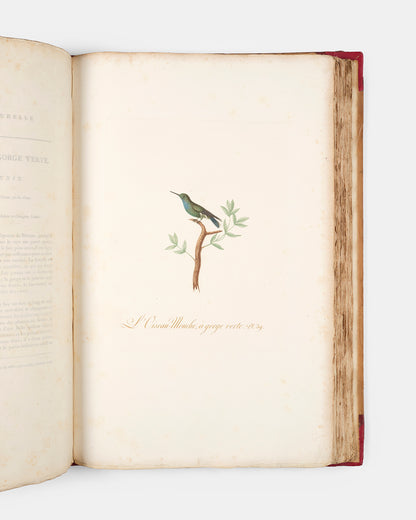 First edition of one of the most beautiful bird books ever published, Jean Baptiste Audebert's Oiseaux Dorés ou Reflets Metallaques, one of only 15 copies with captions printed in gold.