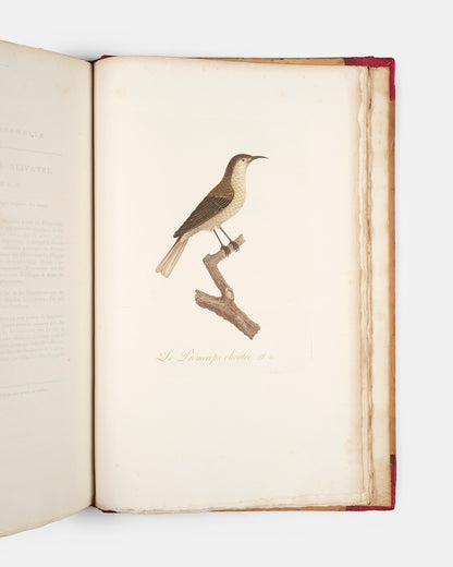 First edition of one of the most beautiful bird books ever published, Jean Baptiste Audebert's Oiseaux Dorés ou Reflets Metallaques, one of only 15 copies with captions printed in gold.