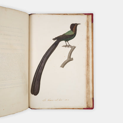 First edition of one of the most beautiful bird books ever published, Jean Baptiste Audebert's Oiseaux Dorés ou Reflets Metallaques, one of only 15 copies with captions printed in gold.