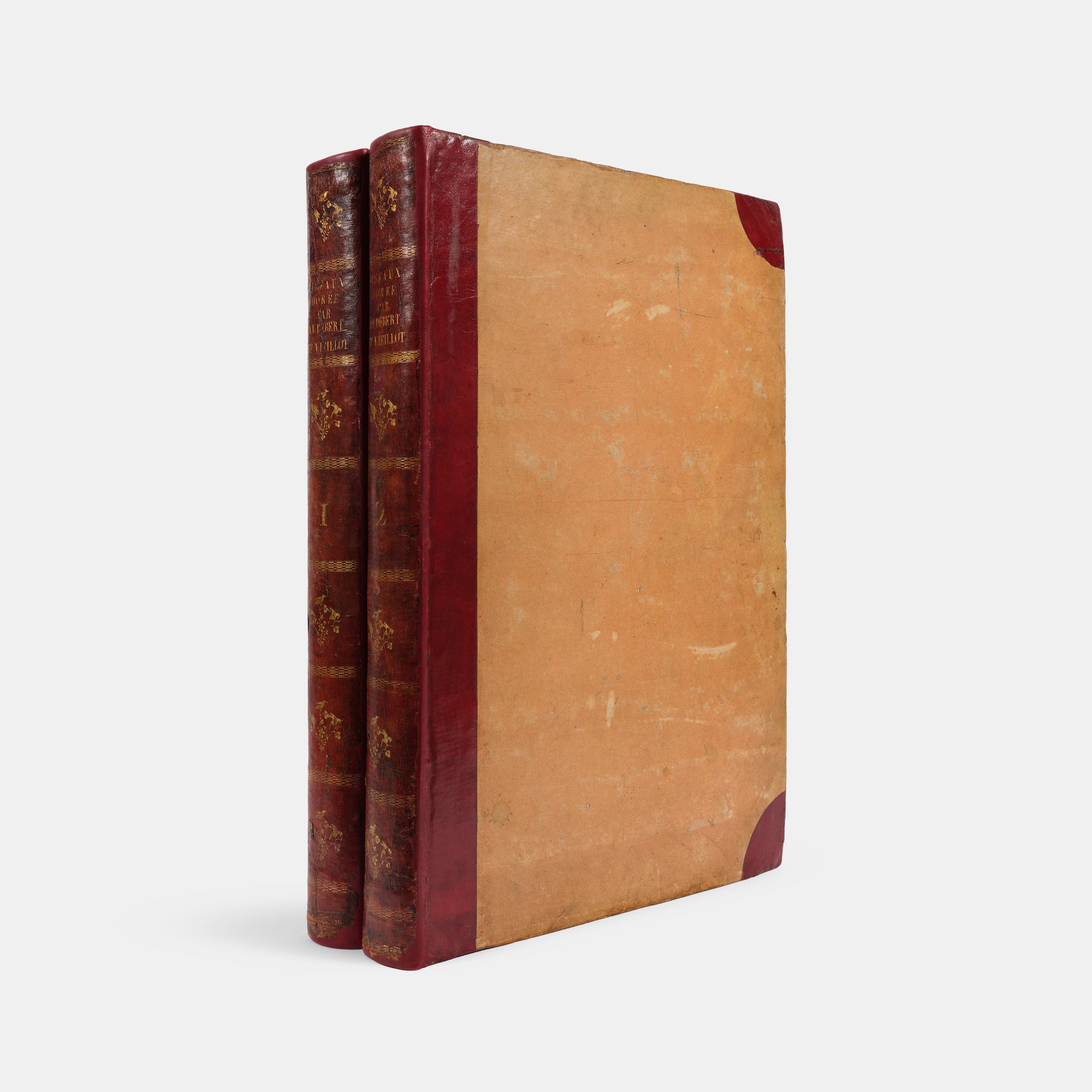 First edition of one of the most beautiful bird books ever published, Jean Baptiste Audebert's Oiseaux Dorés ou Reflets Metallaques, one of only 15 copies with captions printed in gold.