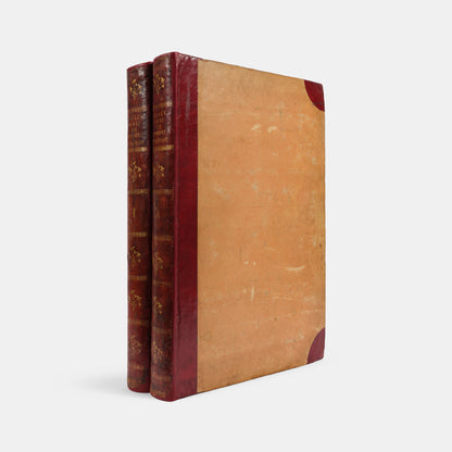 First edition of one of the most beautiful bird books ever published, Jean Baptiste Audebert's Oiseaux Dorés ou Reflets Metallaques, one of only 15 copies with captions printed in gold.