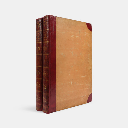 First edition of one of the most beautiful bird books ever published, Jean Baptiste Audebert's Oiseaux Dorés ou Reflets Metallaques, one of only 15 copies with captions printed in gold.