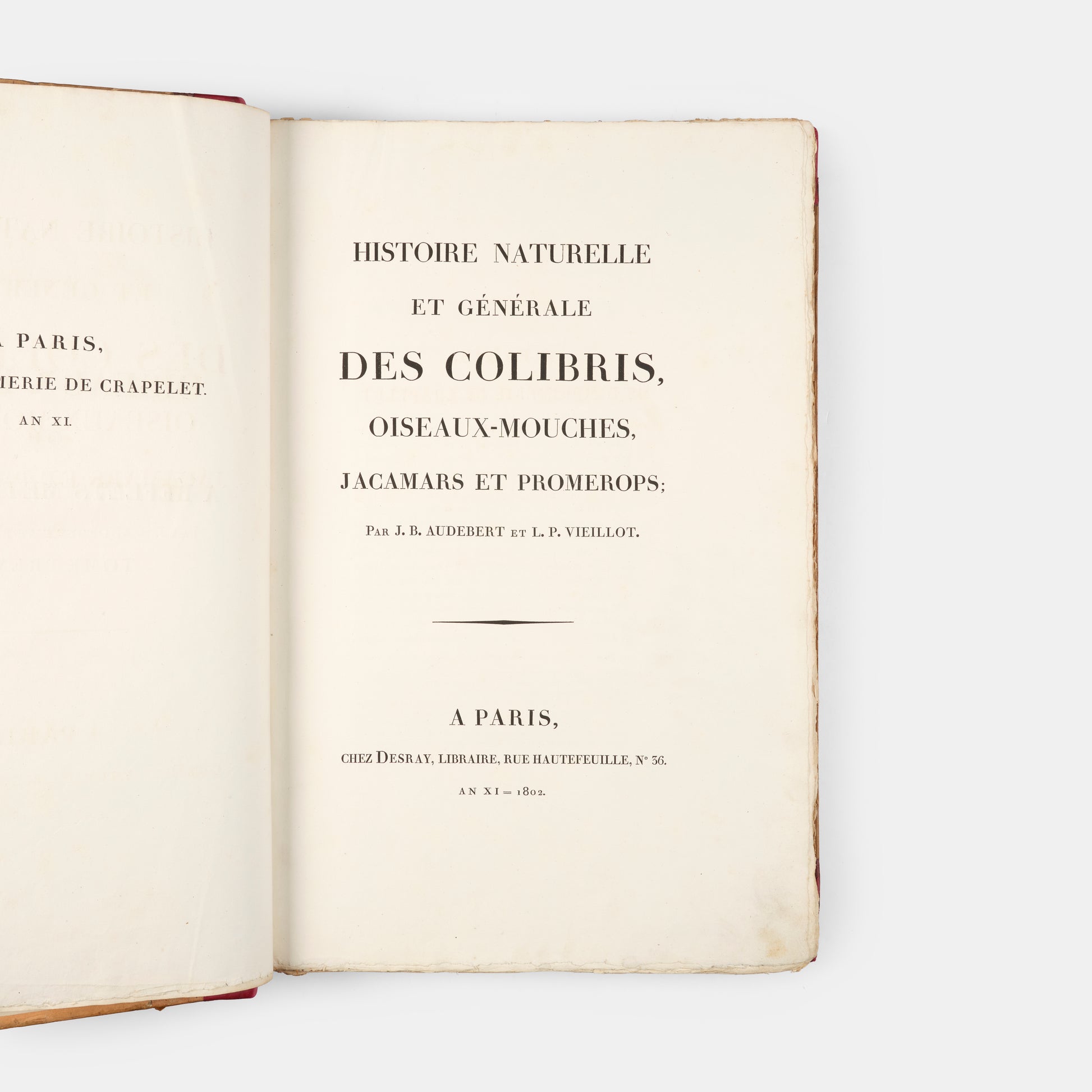 First edition of one of the most beautiful bird books ever published, Jean Baptiste Audebert's Oiseaux Dorés ou Reflets Metallaques, one of only 15 copies with captions printed in gold.