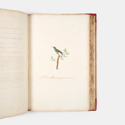 First edition of one of the most beautiful bird books ever published, Jean Baptiste Audebert's Oiseaux Dorés ou Reflets Metallaques, one of only 15 copies with captions printed in gold.