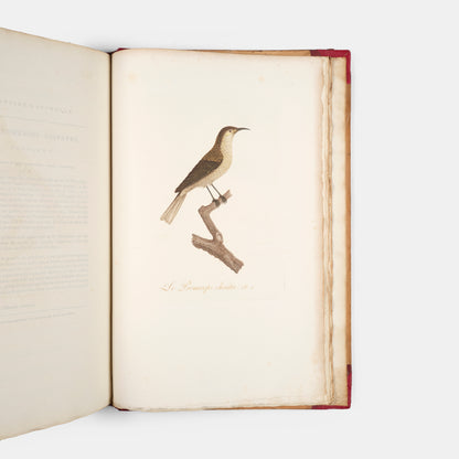 First edition of one of the most beautiful bird books ever published, Jean Baptiste Audebert's Oiseaux Dorés ou Reflets Metallaques, one of only 15 copies with captions printed in gold.