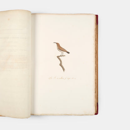First edition of one of the most beautiful bird books ever published, Jean Baptiste Audebert's Oiseaux Dorés ou Reflets Metallaques, one of only 15 copies with captions printed in gold.