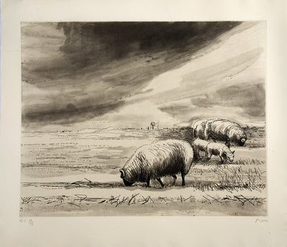 The deluxe edition. One of 15 copies with an additional four etchings.