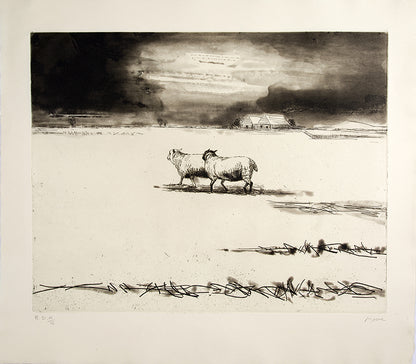 The deluxe edition. One of 15 copies with an additional four etchings.
