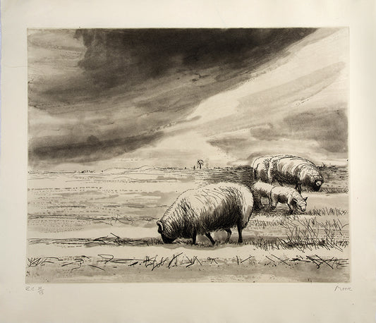 The deluxe edition. One of 15 copies with an additional four etchings.