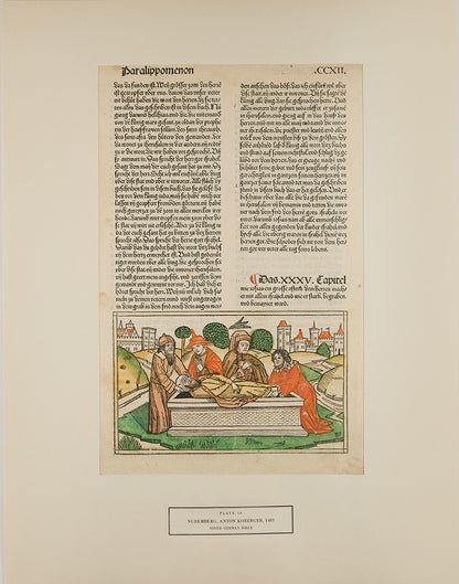 One of the rarest and most desirable plate books of the early 20th century, W.L. Schreiber's Woodcuts from Books of the 15th Century houses 55 incunable leaves, all with woodcut illustrations, and including 20 leaves in hand colour.