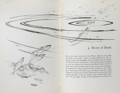 First edition of Rachel Carson's landmark work, Silent Spring, credited by many as the book that laid the foundations for the modern environmentalist movement. 
