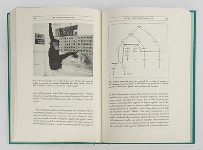First edition, inscribed by the author, of Carl Sagan's Pulitzer Prize-winning The Dragons of Eden.
