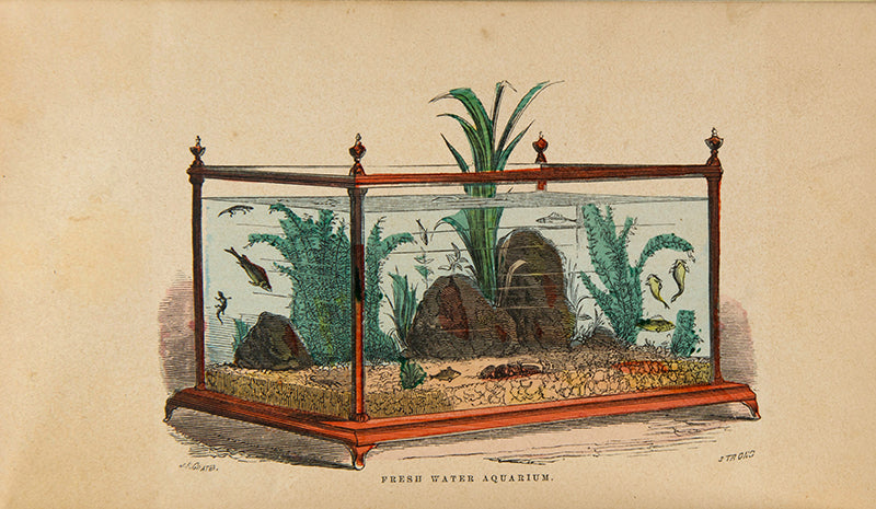First edition of The Family Aquarium by Henry D. Butler, one of the first books on aquariums as a hobby, published in 1858.