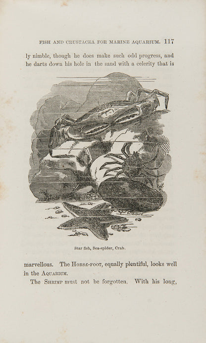 First edition of The Family Aquarium by Henry D. Butler, one of the first books on aquariums as a hobby, published in 1858.