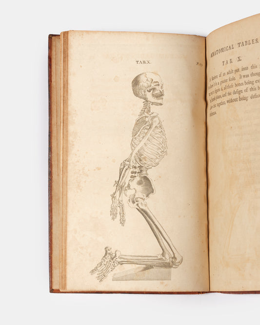 A rare, early American edition of surgeon William Cheselden's The Anatomy of the Human Body (1913), published in 1796 under the title Anatomical Tables of the Human Body.