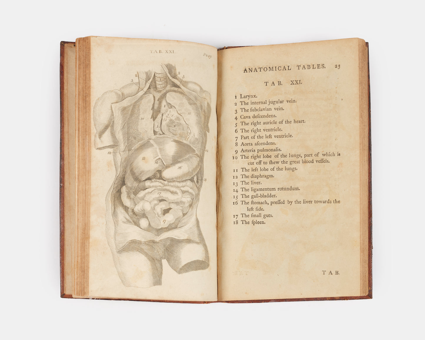 A rare, early American edition of surgeon William Cheselden's The Anatomy of the Human Body (1913), published in 1796 under the title Anatomical Tables of the Human Body.