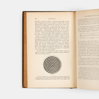 First edition, first printing of the founding text of modern psychology