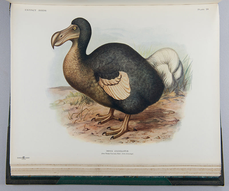 First edition of Lionel Walter Rothschild's important book Extinct Birds, one of the limited edition of 300 numbered and signed copies.