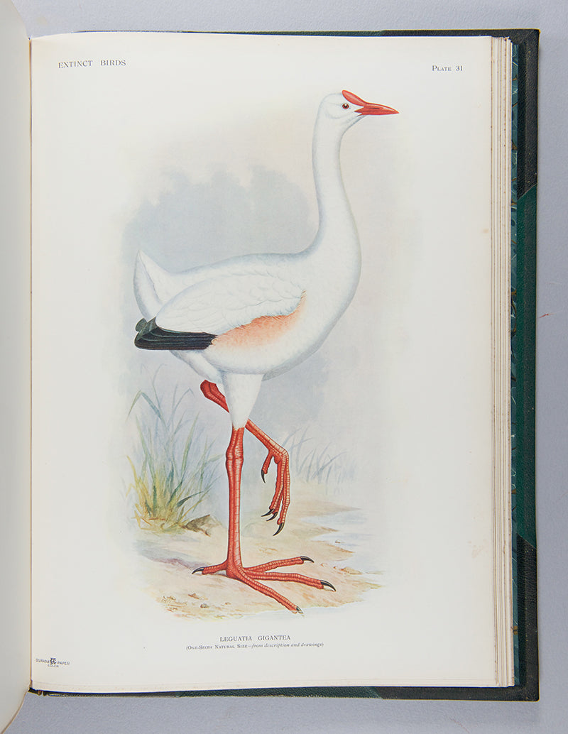 First edition of Lionel Walter Rothschild's important book Extinct Birds, one of the limited edition of 300 numbered and signed copies.
