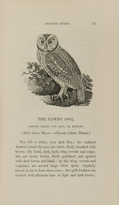 Hancock's edition of Bewick's A History of British Birds, containing twenty additional engravings for the first time.