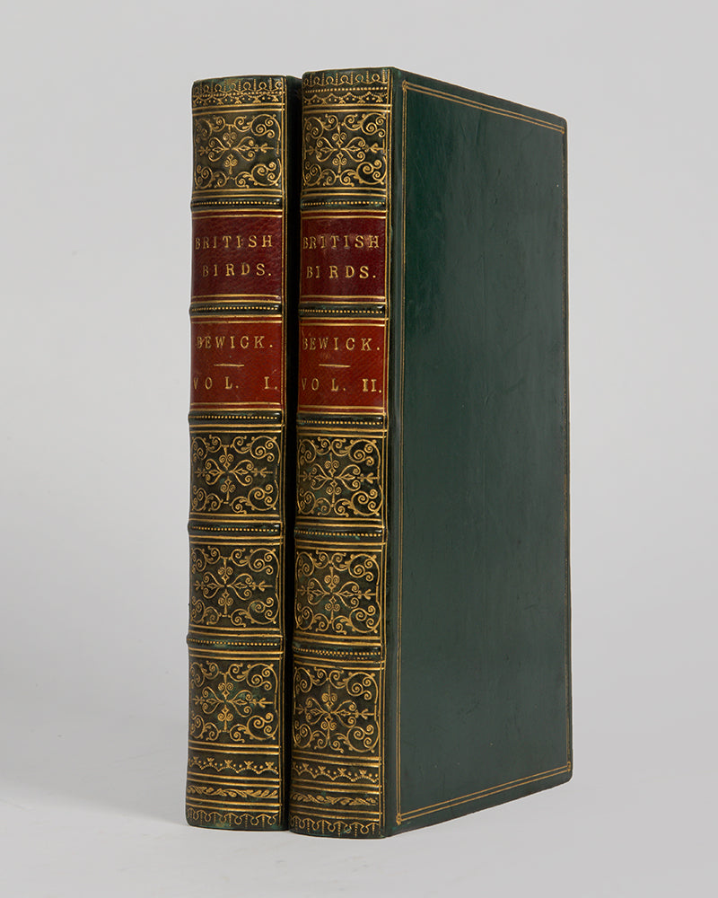 Hancock's edition of Bewick's A History of British Birds, containing twenty additional engravings for the first time.