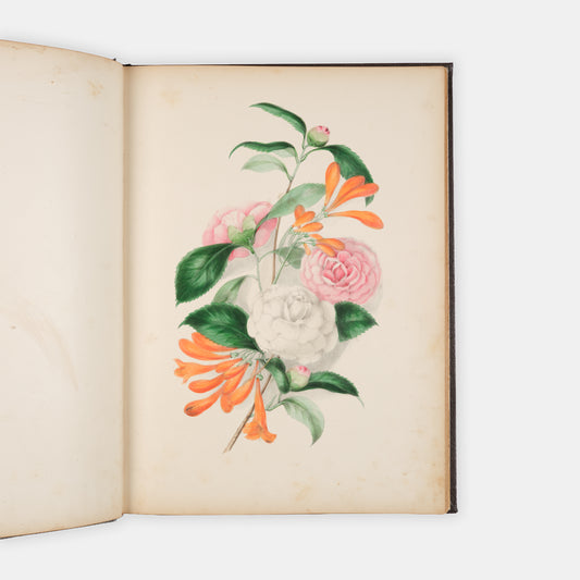 Each beautifully executed flower portrayed is also the subject for a poem which serves as text for the illustration as there are no captions.
