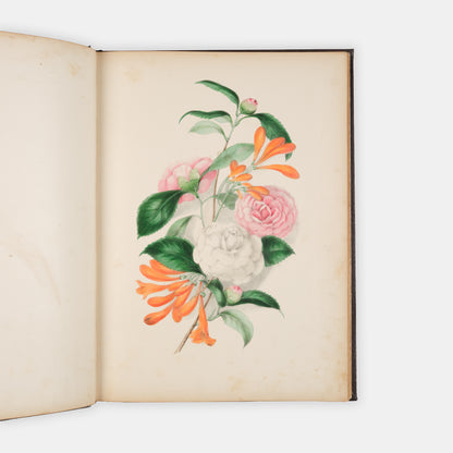Each beautifully executed flower portrayed is also the subject for a poem which serves as text for the illustration as there are no captions.