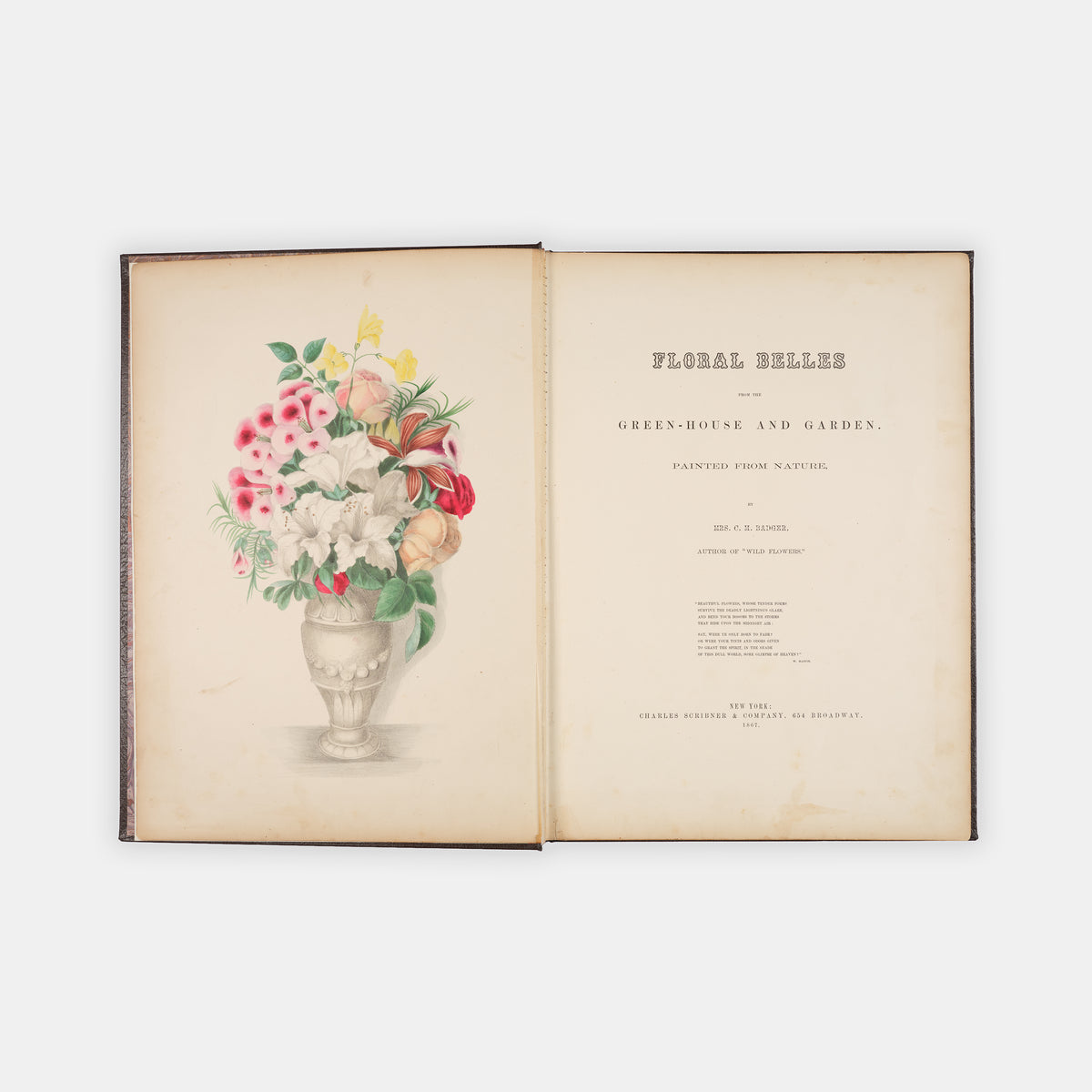Each beautifully executed flower portrayed is also the subject for a poem which serves as text for the illustration as there are no captions.