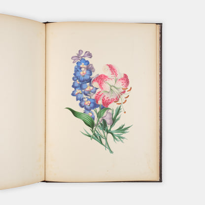 Each beautifully executed flower portrayed is also the subject for a poem which serves as text for the illustration as there are no captions.