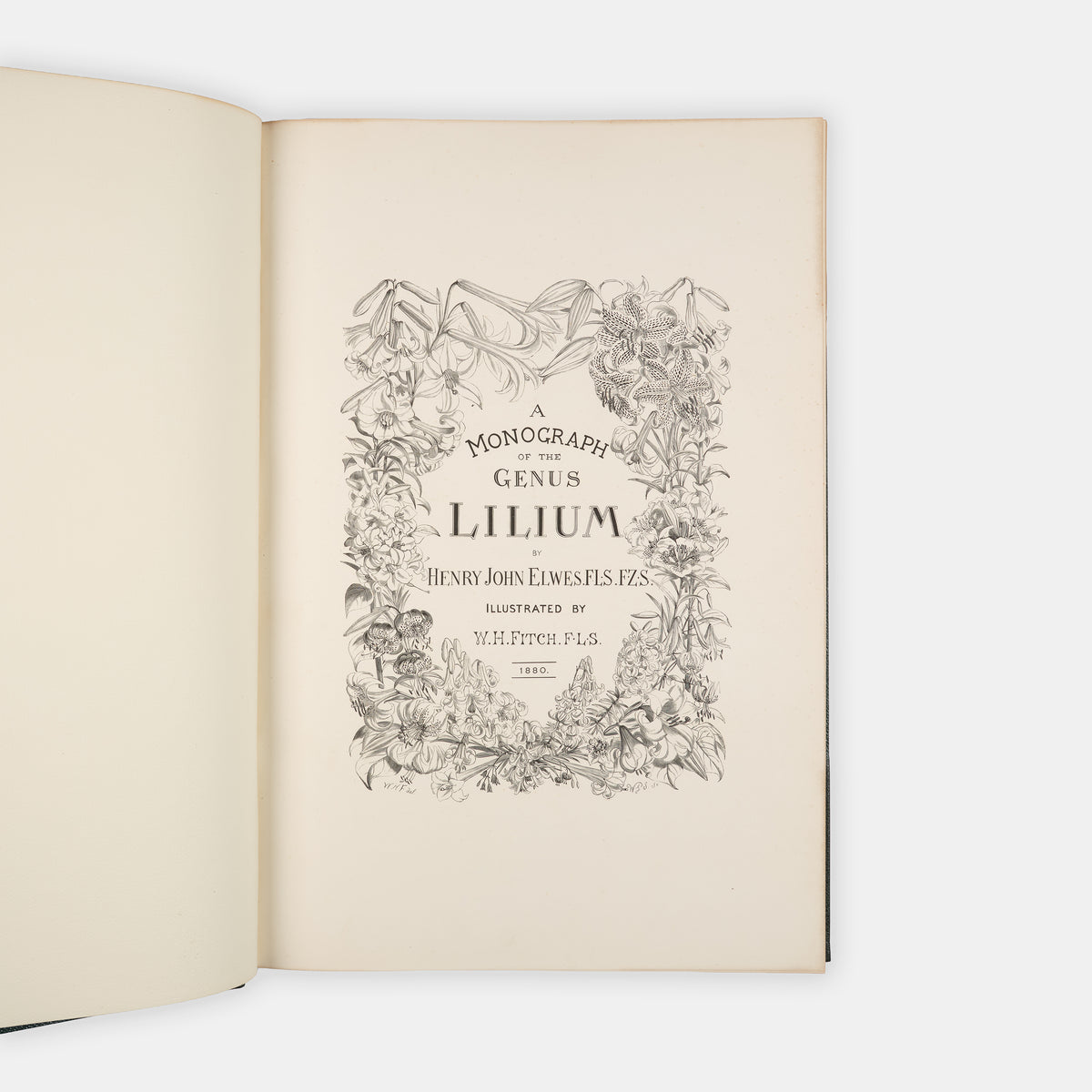 First edition of this superb, hand-coloured work on lillies, A Monograph of the Genus Lillium by Henry John Elwes, with the Supplement.