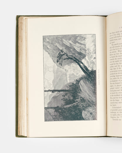 First English edition of New Light on Dark Africa by Carl Peters, inscribed by the translator, Henry William Dulcken, to a member of the Negreponte family dated 1891.