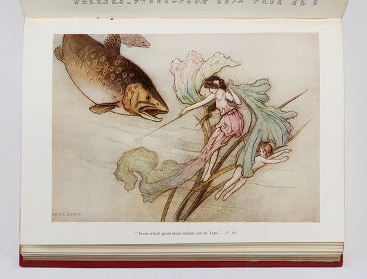 A wonderfully illustrated, handsome early printing of The Water Babies by Charles Kingsley.
