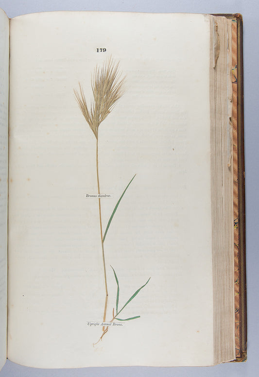 A handsomely bound set of the first ten volumes of the <em>Transactions of the Horticultural Society.</em>
