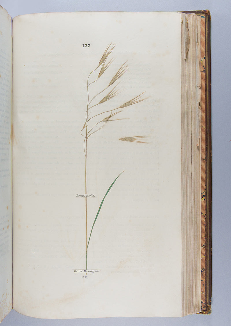 A handsomely bound set of the first ten volumes of the <em>Transactions of the Horticultural Society.</em>