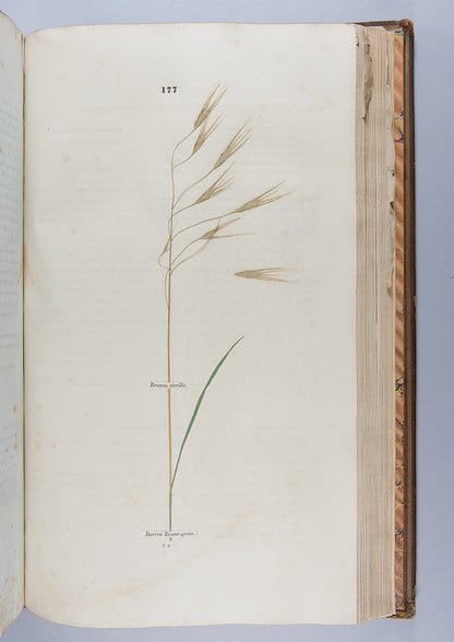 A handsomely bound set of the first ten volumes of the <em>Transactions of the Horticultural Society.</em>