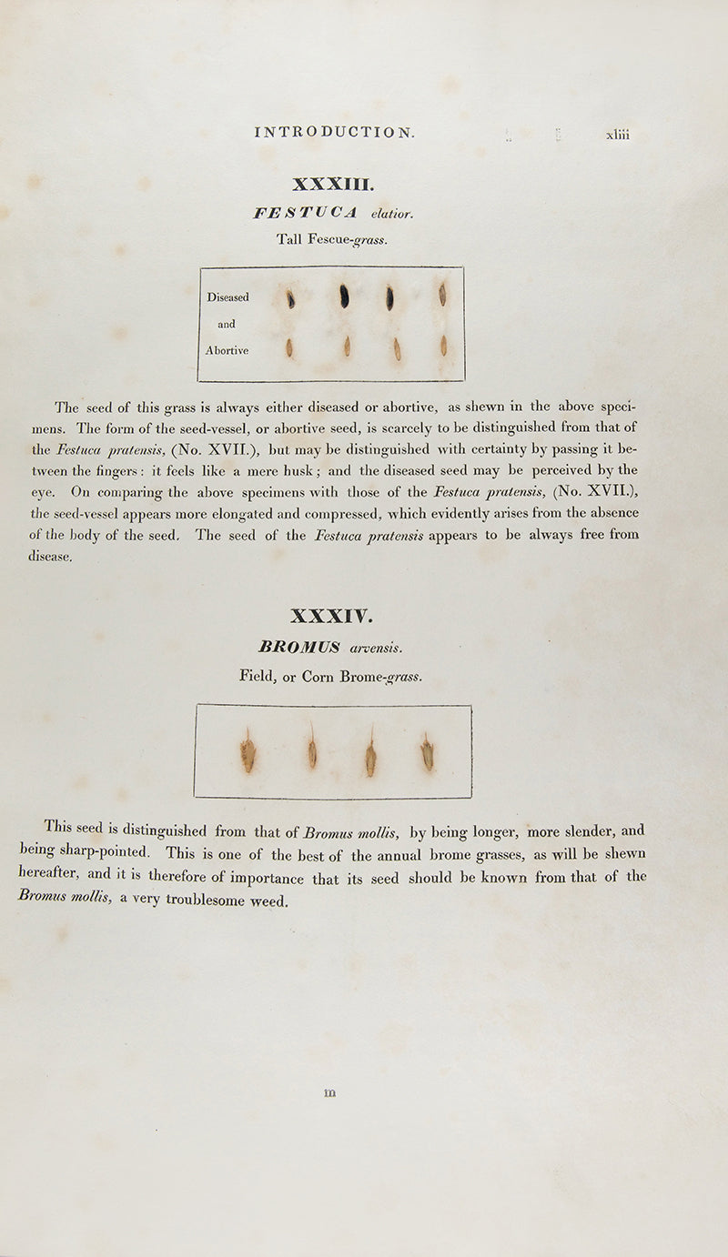 A handsomely bound set of the first ten volumes of the <em>Transactions of the Horticultural Society.</em>