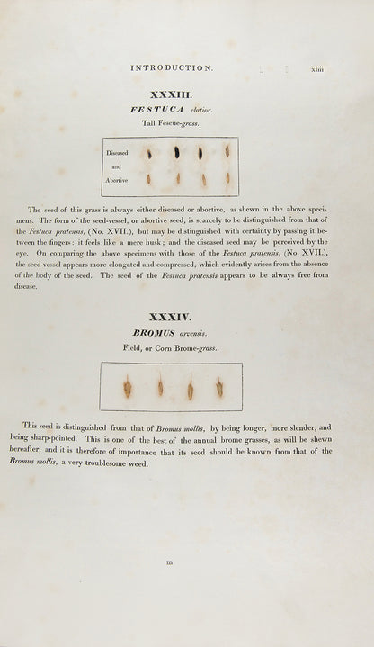 A handsomely bound set of the first ten volumes of the <em>Transactions of the Horticultural Society.</em>