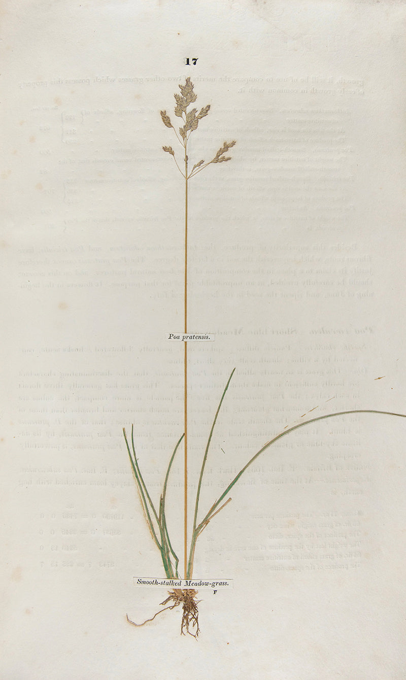 A handsomely bound set of the first ten volumes of the <em>Transactions of the Horticultural Society.</em>