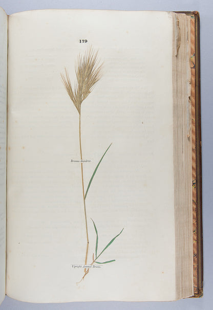 A handsomely bound set of the first ten volumes of the <em>Transactions of the Horticultural Society.</em>
