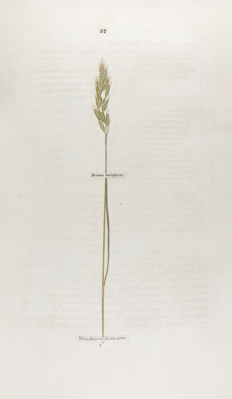 A handsomely bound set of the first ten volumes of the <em>Transactions of the Horticultural Society.</em>