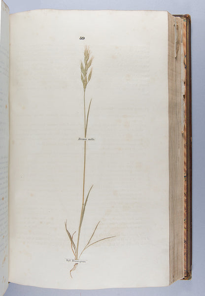 A handsomely bound set of the first ten volumes of the <em>Transactions of the Horticultural Society.</em>