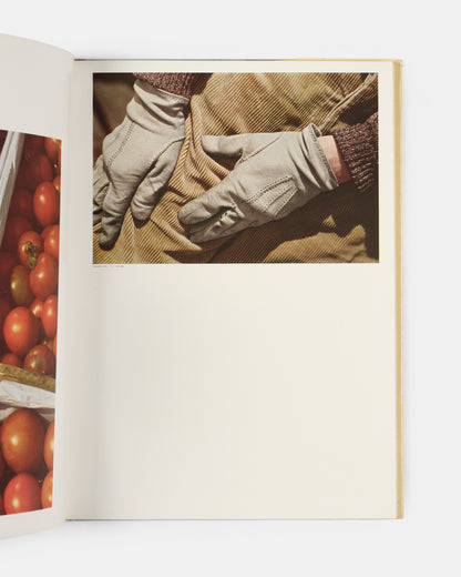 122 Farve fotografier. 122 Colour Photographs.