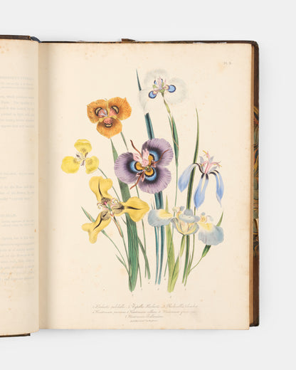 First edition of Jane Loudon's The Ladies' Flower-Garden of Ornamental Bulbous Plants, handsomely bound by Wareing Webb of Liverpool.