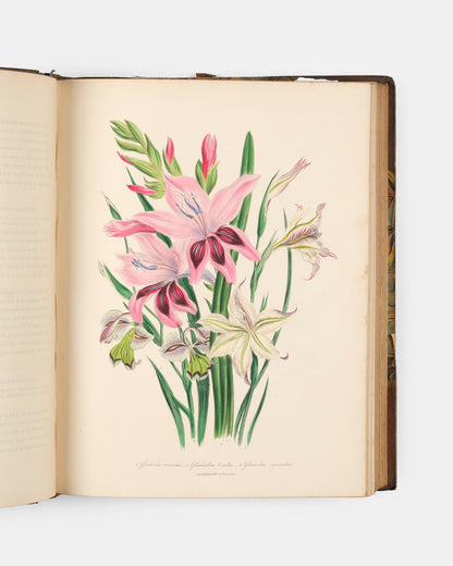 First edition of Jane Loudon's The Ladies' Flower-Garden of Ornamental Bulbous Plants, handsomely bound by Wareing Webb of Liverpool.