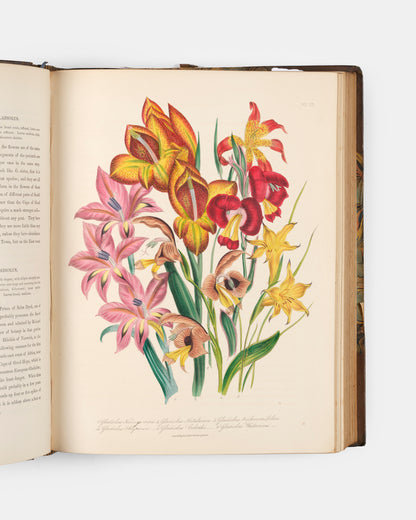 First edition of Jane Loudon's The Ladies' Flower-Garden of Ornamental Bulbous Plants, handsomely bound by Wareing Webb of Liverpool.