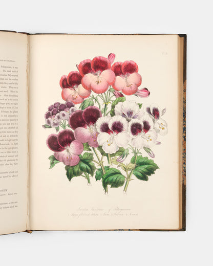 First edition of Jane Loudon's Ladies' Flower Garden of Ornamental Greenhouse Plants, handsomely bound in green morocco by Wareing Webb of Liverpool.