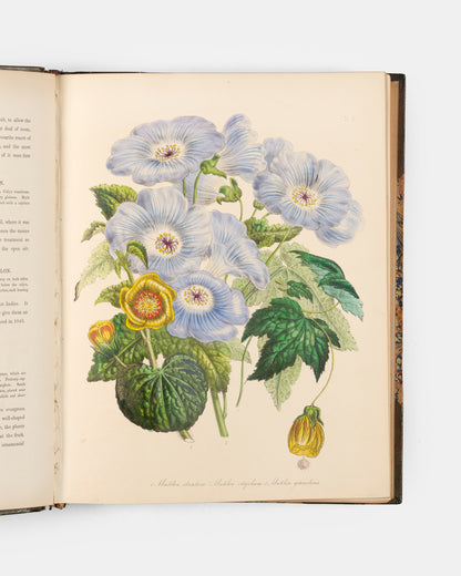 First edition of Jane Loudon's Ladies' Flower Garden of Ornamental Greenhouse Plants, handsomely bound in green morocco by Wareing Webb of Liverpool.